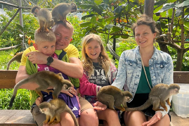 Puerto Plata: Damajagua 7 Waterfalls & MonkeyHome Tour