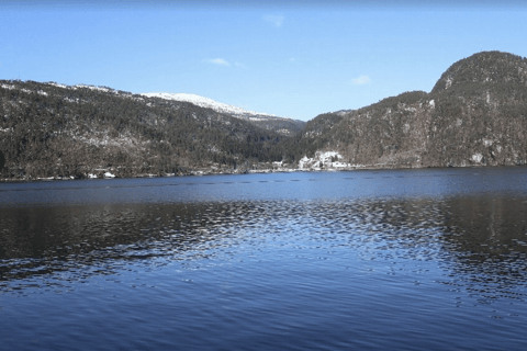 Best of Bergen: Fjord Cruise and Guided City Walk