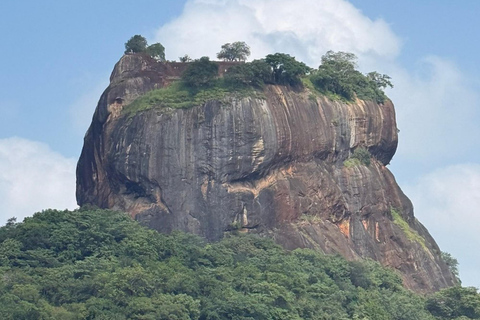 From Colombo: Dambulla, Sigiriya, and Jeep Safari Day Trip