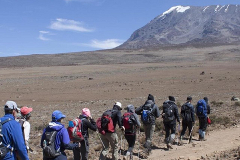 Arusha: 7-Day Kilimanjaro Machame Route Guided Trek