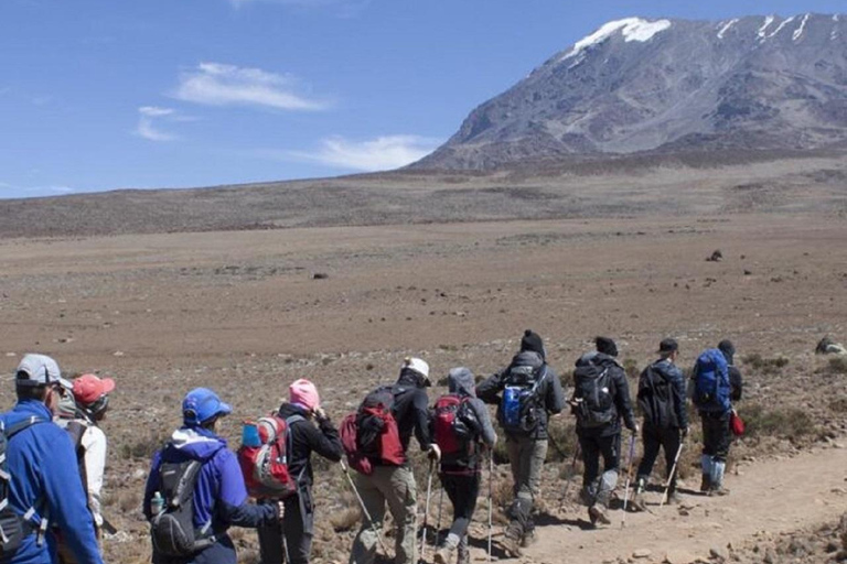 Arusha: 7-Day Kilimanjaro Machame Route Guided Trek