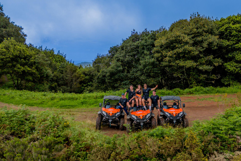 Madeira: OFF-ROAD BUGGY ADVENTURE TO FUNDURAS