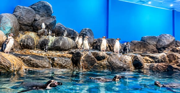 Langkawi: Island Hopping & Underwater World Tour