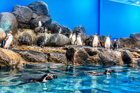 Langkawi: Island Hopping & Underwater World Tour