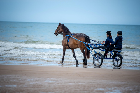 Omaha Beach: Sulky baptism on the beach