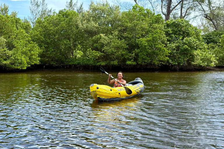 Fort Lauderdale: Kayak & Paddleboard Mangroves Eco Adventure