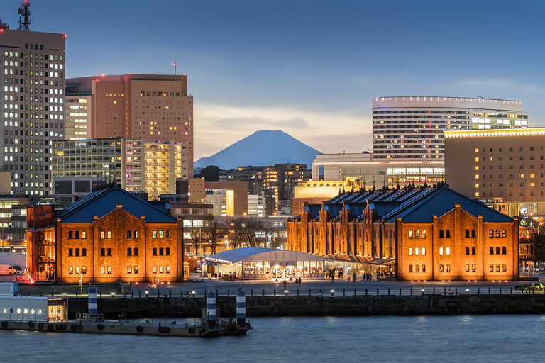 Tokyo Yokohama Night View Tour With Kamakura And Enoshima