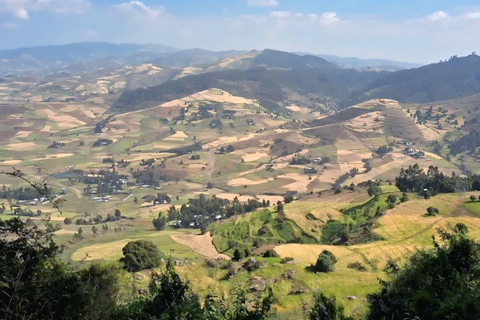 Addis Ababa: Wild Hyenas, Forest Hike & Sunset Experience