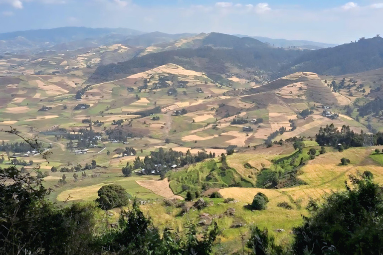 Addis Ababa: Wild Hyenas, Forest Hike & Sunset Experience