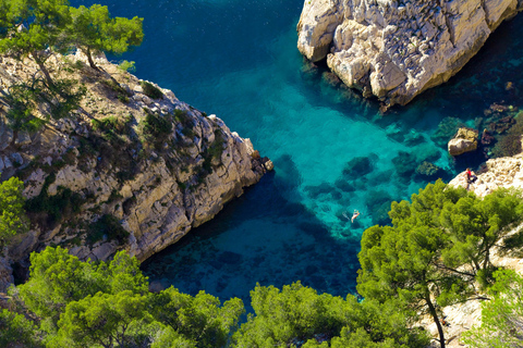 Marseille : Calanques Katamaran-Kreuzfahrt mit Mittagessen und Wein