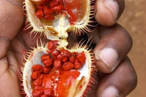 Spice Farm, Stone Town, Prison & Nakupenda+pick up+entry fee