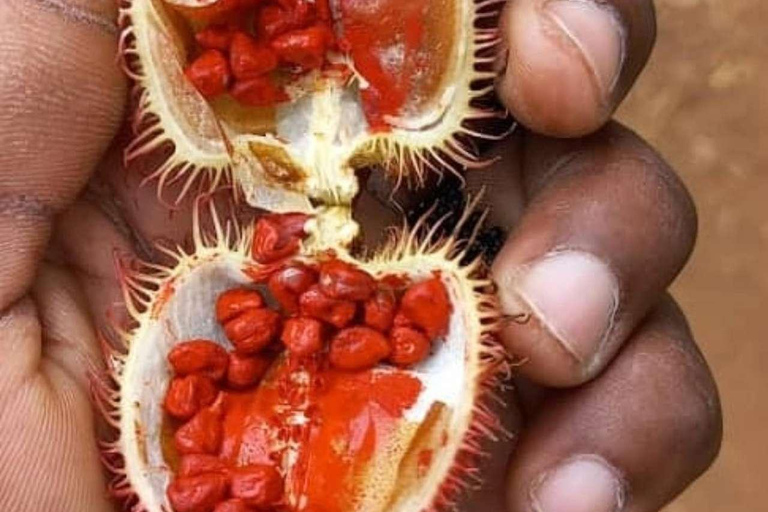 Spice Farm, Stone Town, Prison & Nakupenda+pick up+entry fee
