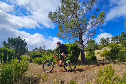 Madeira - Mountain Biking Tour