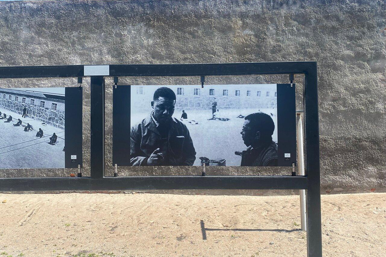 From Cape Town: Robben Island & Table Mountain Full-Day Tour