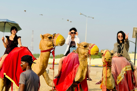 Doha - Ökensafari med Ökensafari med kamelridning, sandboarding och ...