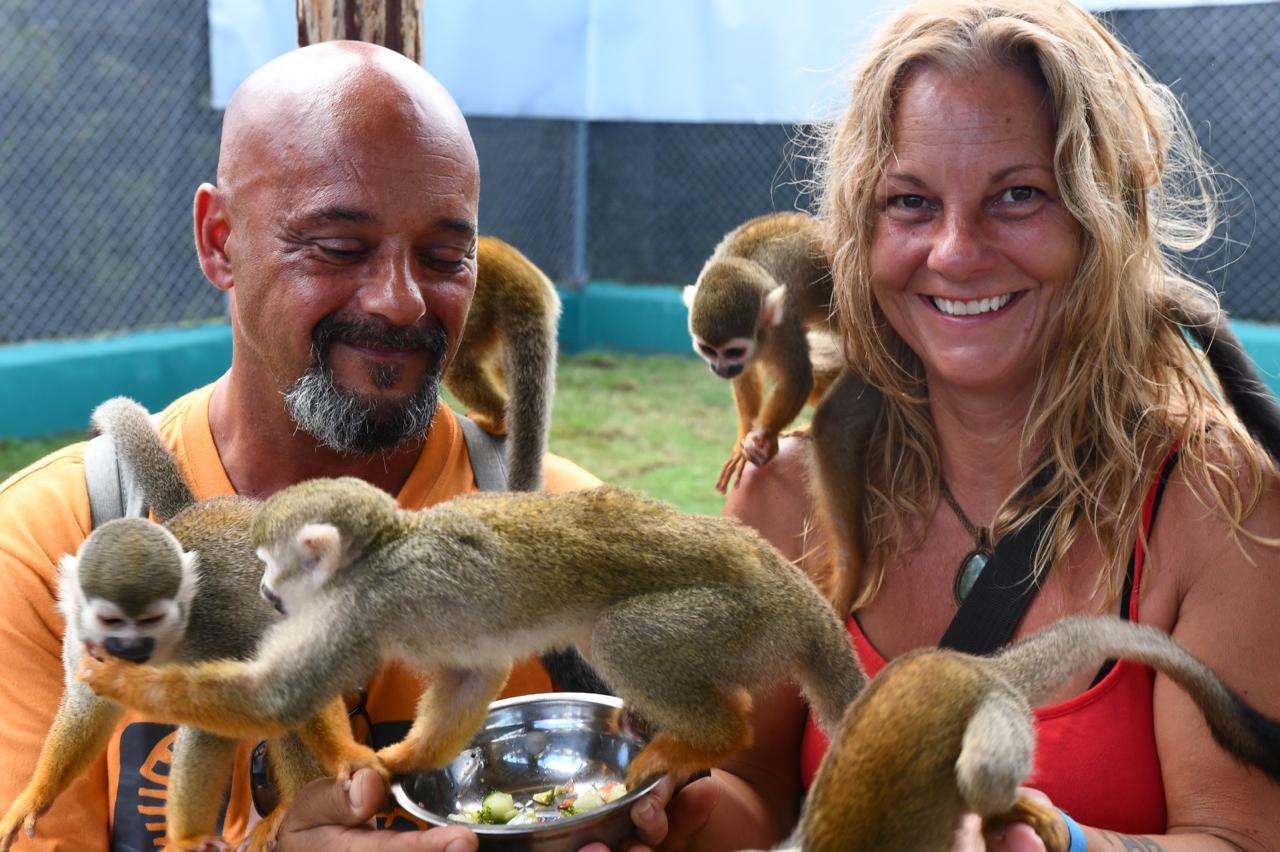 Puerto Plata: Kulturtour & ethische Affenbeobachtung