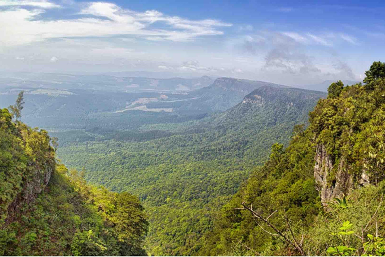 3 days: Safari in Kruger National Park, Mpumalanga, and City Tour in Maputo 3 days: Safari in Kruger National Park, Mpumalanga, and city tour in Maputo