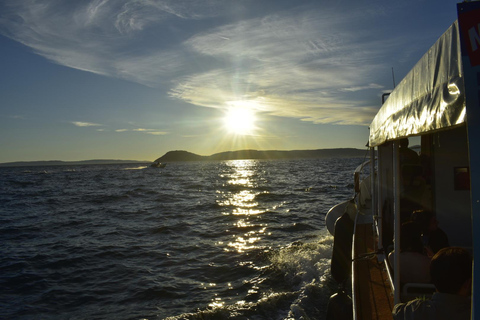 From Split: Evening Boat Tour with Sunset Views