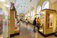 Филадельфия, Upenn Campus Walking Tour и Museum Ticket - Housity