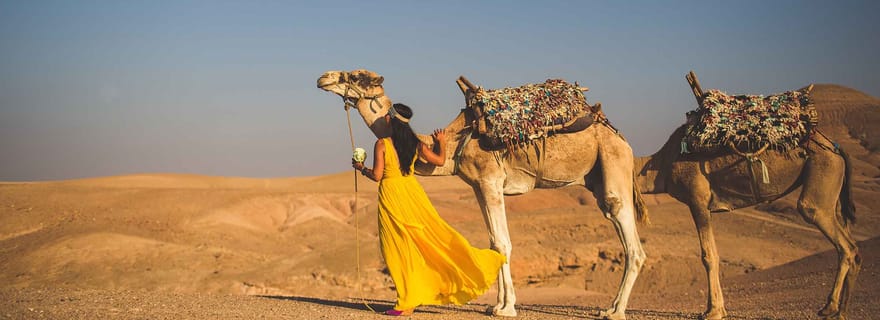 Au départ de Marrakech : 1 heure de promenade à dos de chameau dans le désert d'Agafay au coucher du soleil