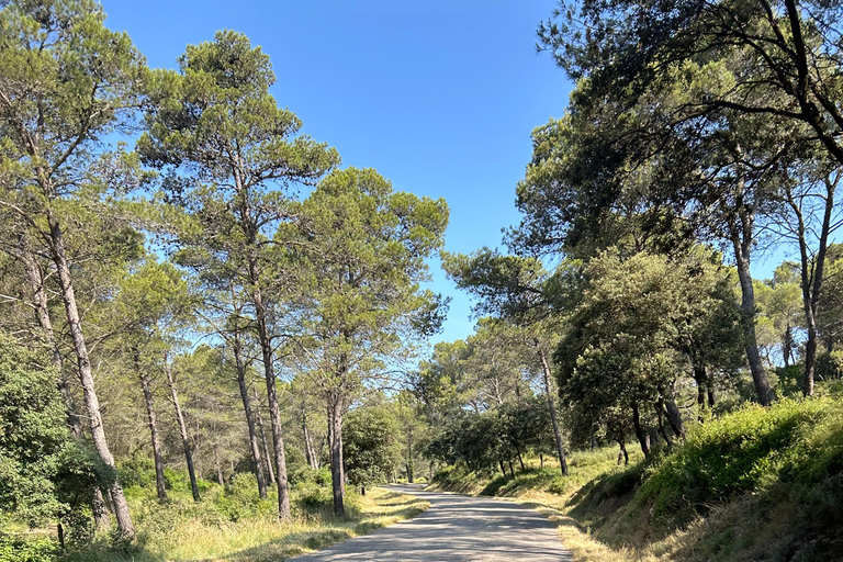 Aureille: Les Civadières, Roquemartine en Les Opies op de fietsAureille: De grote Opies-fietstocht Privé