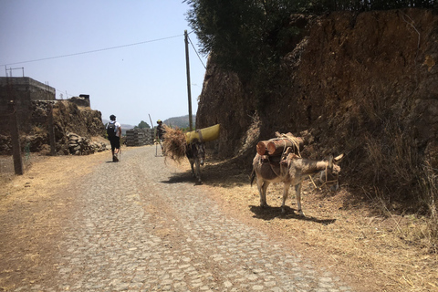 Wycieczka brzegowa, Santo Antão, cały dzień, najważniejsze atrakcje samochodem