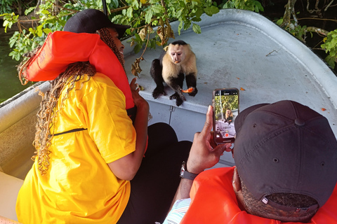 Panama: Apeneiland en Panamakanaal Eco-Tour