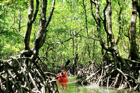 Langkawi : Excursion en kayak dans la mangrove avec déjeuner (matin)