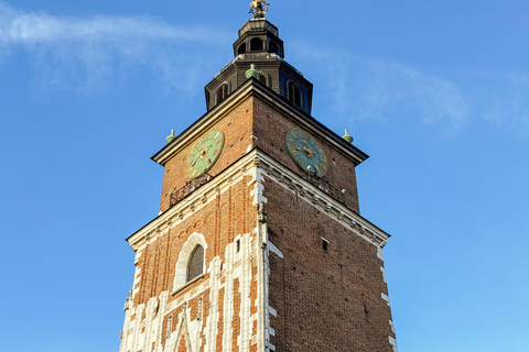Wawel Castle, Old Town, Mary Basilica & Underground Museum English Tour