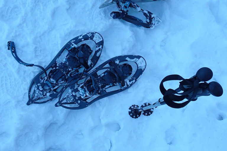 Snowshoeing on Trebević - Winter Adventure Above Sarajevo