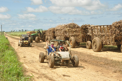 Bayahibe: Buggy and Horseback Riding Tour
