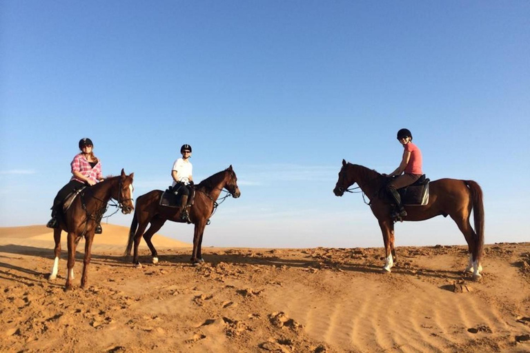 Agadir: Beginner Horse Ride Along the Souss River