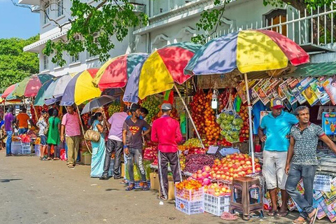 City Explorer: Colombo City Tour