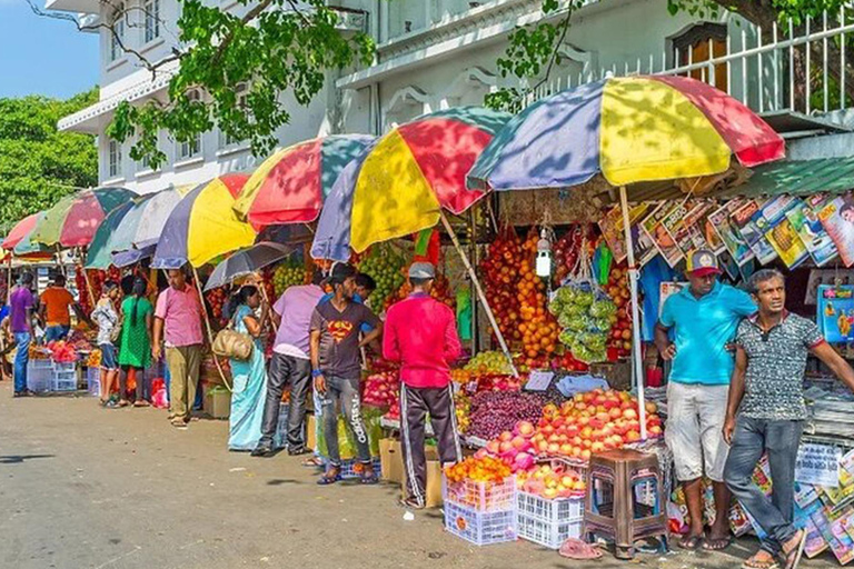 City Explorer: Colombo City Tour