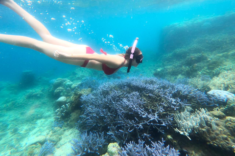 Exclusieve vis- en snorkeltour door Lombok over 4 Gilis