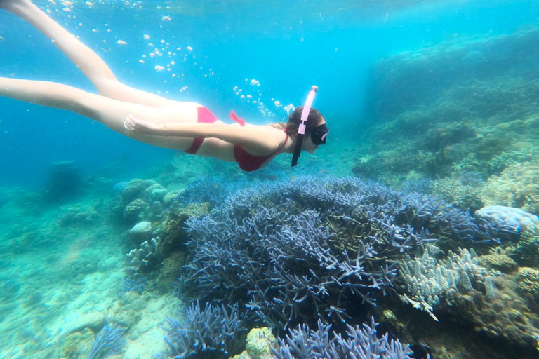 Exklusiv fiske- och snorklingstur på Lombok med 4 Gilis