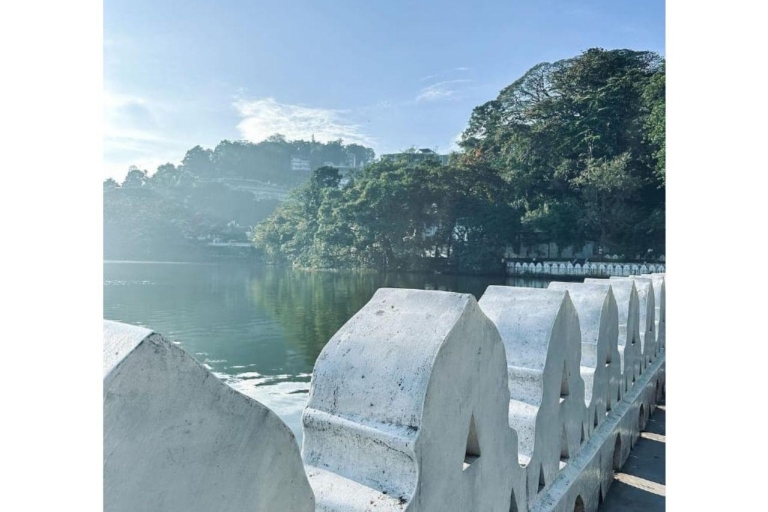 Maravillas de Pinnawala y encantos de Kandy: Una expedición en Tuk Tuk
