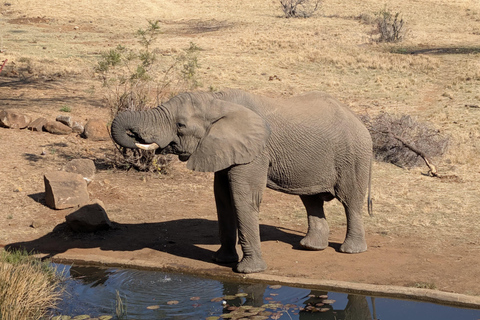 From Maputo: Kruger Safari and Island Escape 4-Day Tour