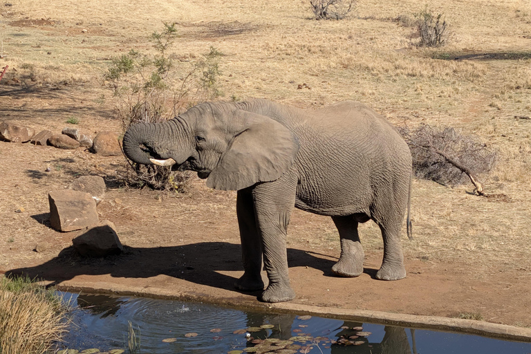 From Maputo: Kruger Safari and Island Escape 4-Day Tour