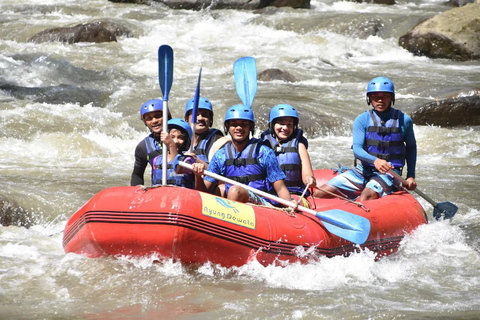 Bali Aventura de rafting en el río AyungActividad turística con punto de encuentro