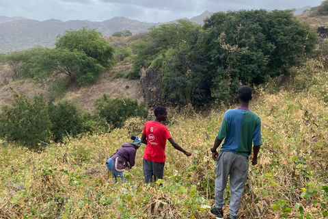 A Day in the Countryside: Immersion in Family Life in Ribeirão de Kal – All Inclusive A Day in the Countryside: Family Life Immersion in Ribeirão de Kal – All Inclusive