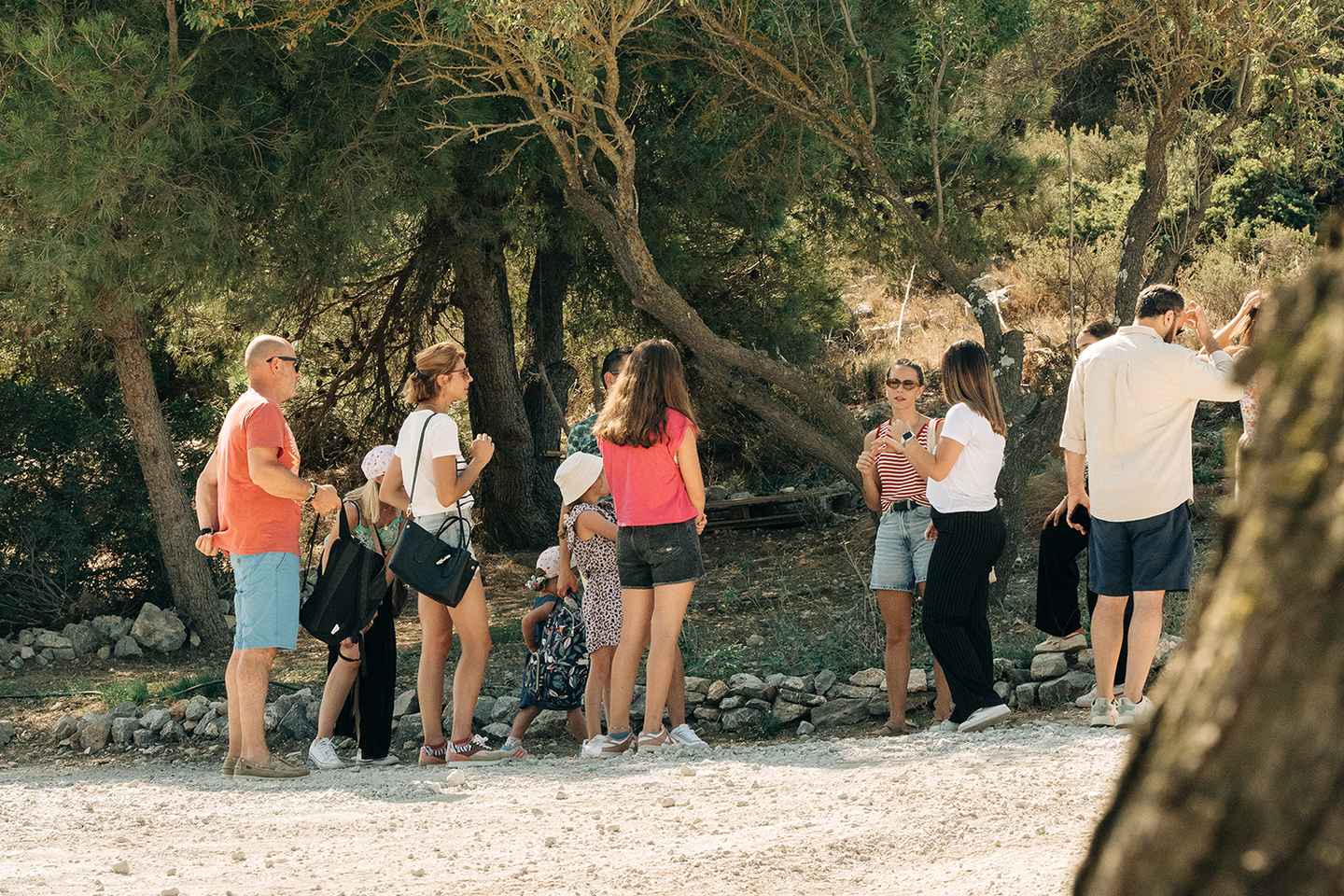 Guided Tour of the Estate & Tasting of 4 wines