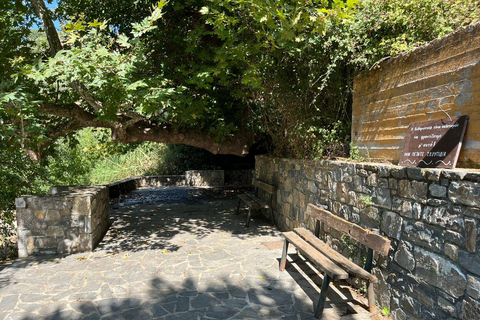 Hersonissos: Buggy Safari Adventure Tour Hersonissos: Buggy Safari Adventure with Transfer