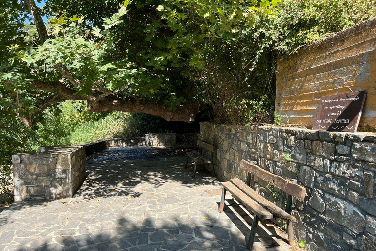 Hersonissos: Buggy Safari Adventure Tour Hersonissos: Buggy Safari Adventure with Transfer