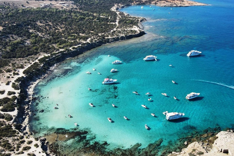 From Paphos: Akamas Coastal Jeep Adventure 4x4 A/C