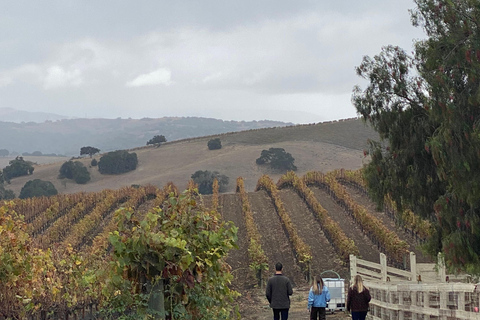 Santa Barbara: Private Guided Wine Tour With Lunch