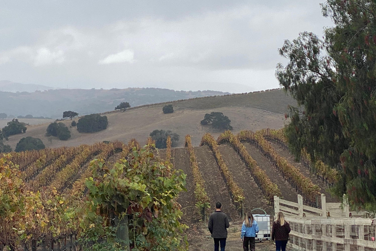 Santa Barbara: Private Guided Wine Tour With Lunch