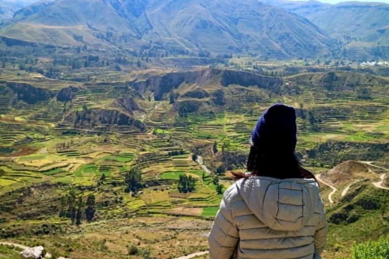 Depuis Arequipa : Journée au Canyon de Colca