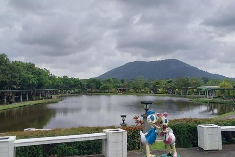 Bintan car charter + Driver Bintan Car Rent