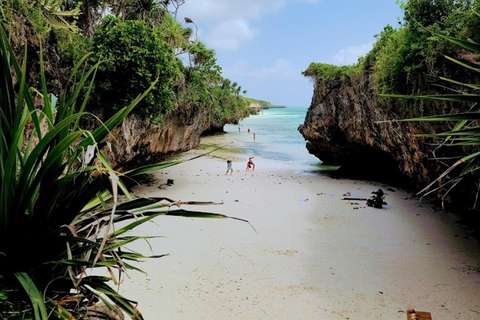 JOZANI FOREST/SEA TURTLE SANCTUARY/MTENDE BEACH